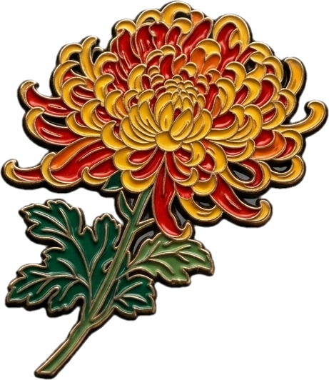 A chrysanthemum