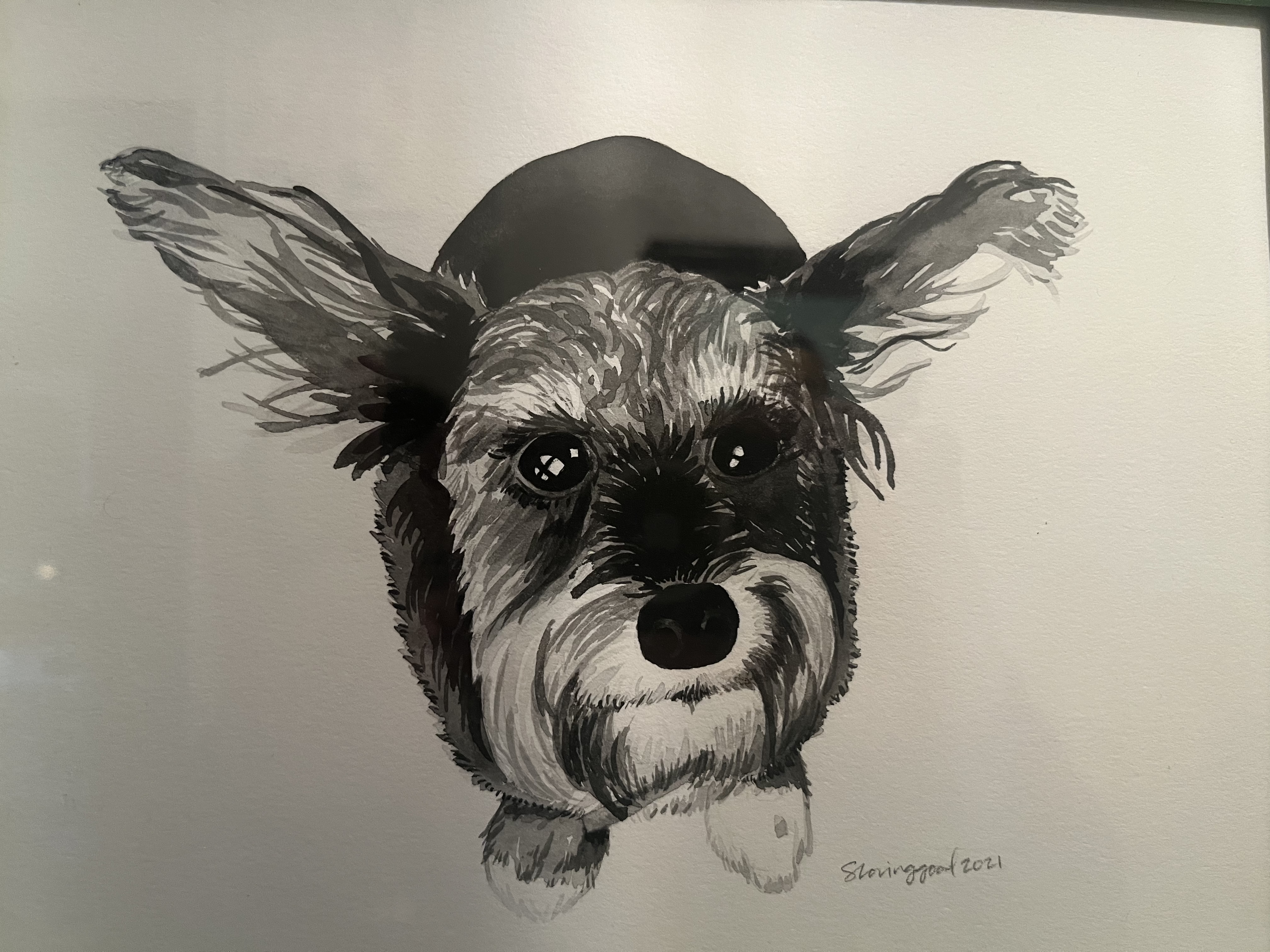 The Rascally Dog