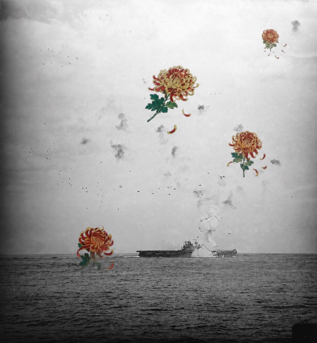 Floating Chrysanthemums
